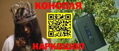 индика Камень-на-Оби