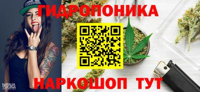 прущий лед Кингисепп