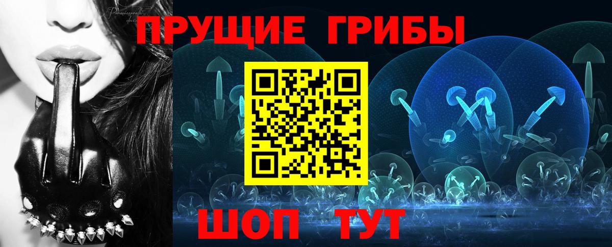 Краснодар  Галлюциногенные грибы GOLDEN TEACHER  Галлюциногенные грибы Psilocybine cubensis  Вход с VPN 